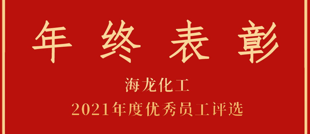 <strong>表彰！海龍化工2021年度優(yōu)秀員工優(yōu)秀部門評選</strong>