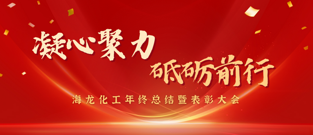 表彰 | 凝心聚力，砥礪前行，海龍化工年終總結(jié)暨表彰大會圓滿舉行